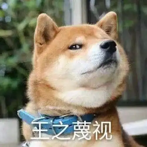 【表情包】霸道柴总的沙雕日常