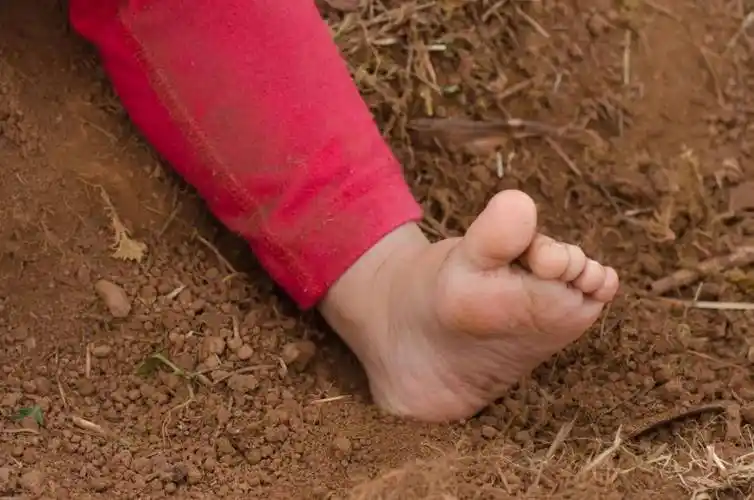 教案上新森林学校赤脚教案来了每个脚印都是冒险的勋章