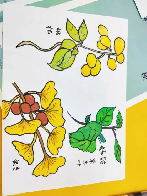 幼儿园中草药主题环创