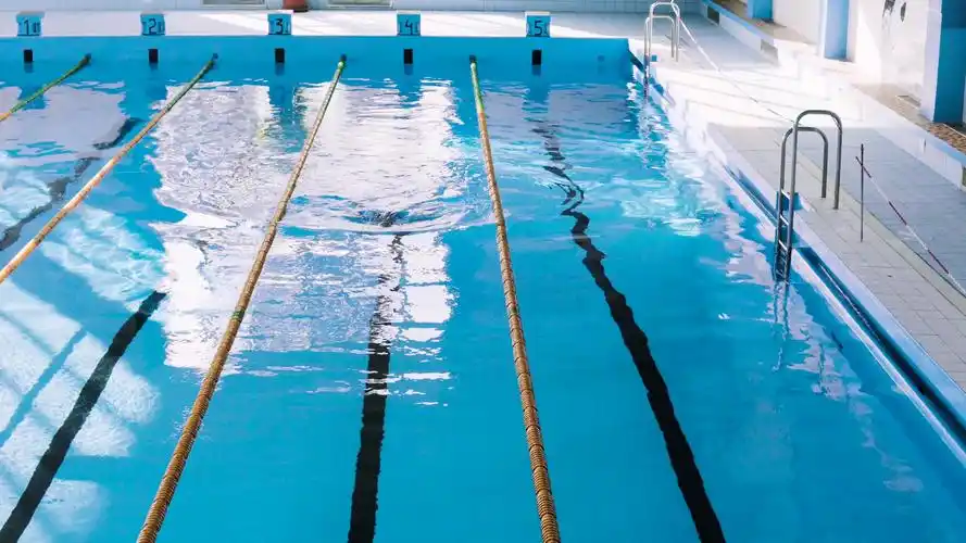 游泳 训练 优美泳姿 自由泳