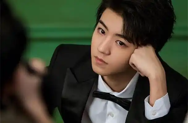 刚开始那几年,王俊凯主要是靠参加一些综艺节目来吸引大家的注意.