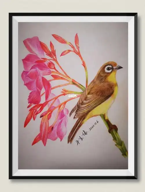 彩铅花鸟～绣眼与夹竹桃_彩铅_手绘_彩铅手绘_兴趣爱好_绘画