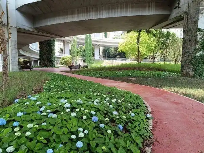 涪陵乌江二桥桥下海绵城市雨水花园向市民开放!_景观_内容