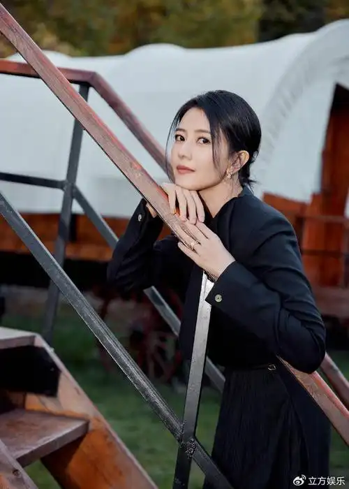 高圆圆穿黑色长裙落落大方 面露温婉笑容气质优雅|高圆圆|温婉|笑容