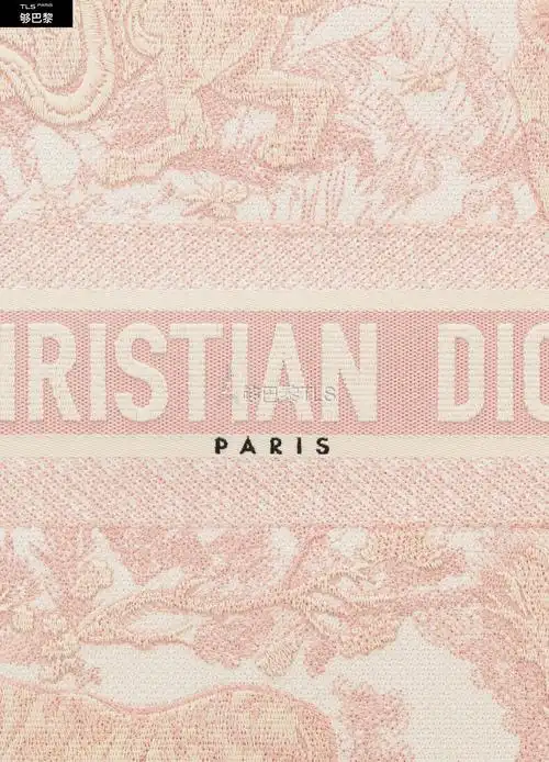 【包邮包税】 dior迪奥 21年秋冬 女士 手提包 dior book 茹伊印花