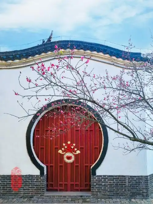 中国古风庭院梅花图片