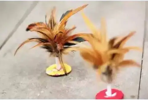 自制鸡毛毽