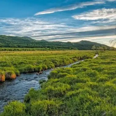 绿色草甸草原风景qq高清头像图片