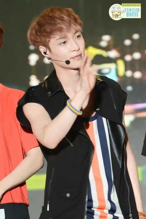 exo lay 张艺兴 cr:logo