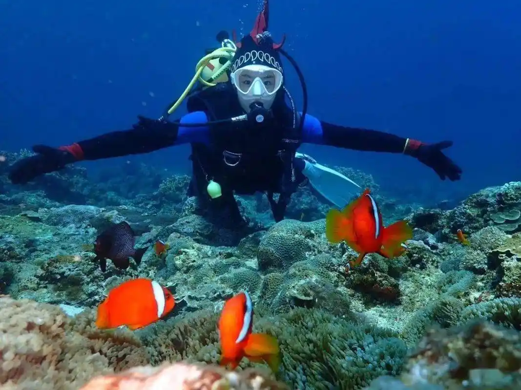 看完这期潜水照片展我连十一的潜水计划都安排好了