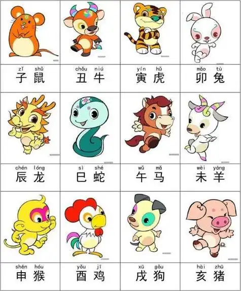 12生肖顺序 12生肖顺序表-塔罗牌占卜