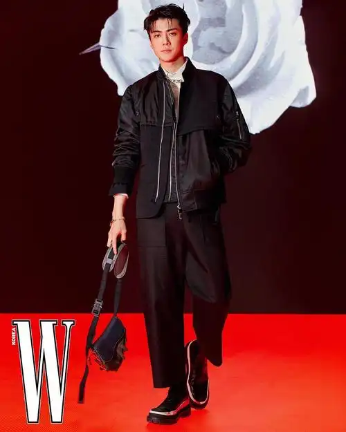【吴世勋x wkorea x dior】帅死谁了