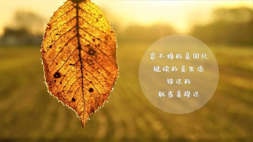 正能量暖心语录图片