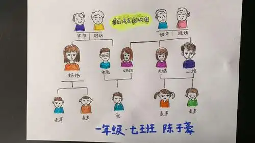 一年级七班 家族成员结构图