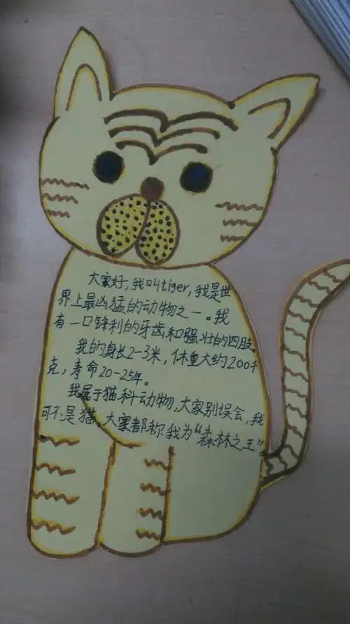 枣庄市实验学校三.7班的动物名片展