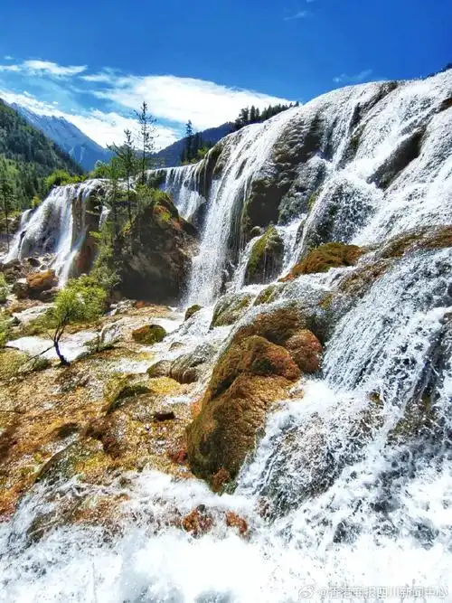 【川阿坝州携手湖南张家界共同打造「中国最美山水组合」】日前
