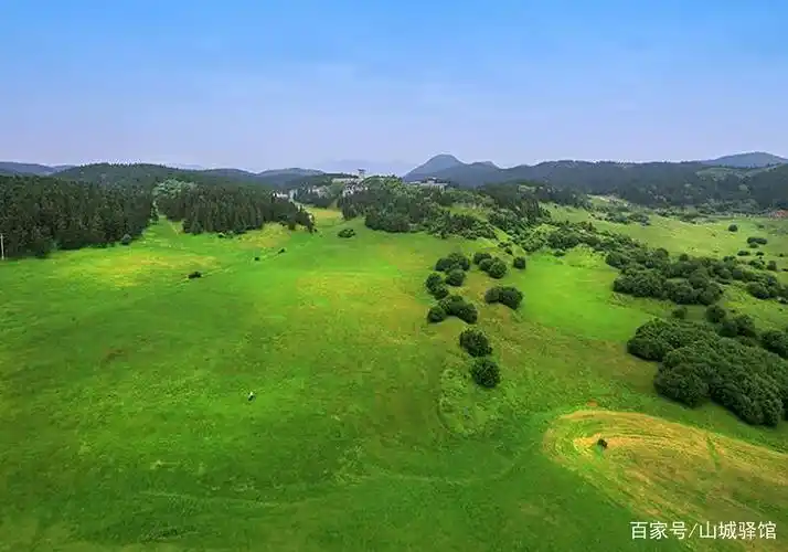 星垂平野阔!秋天的第一次露营,快来重庆武隆仙女山南国第一牧原
