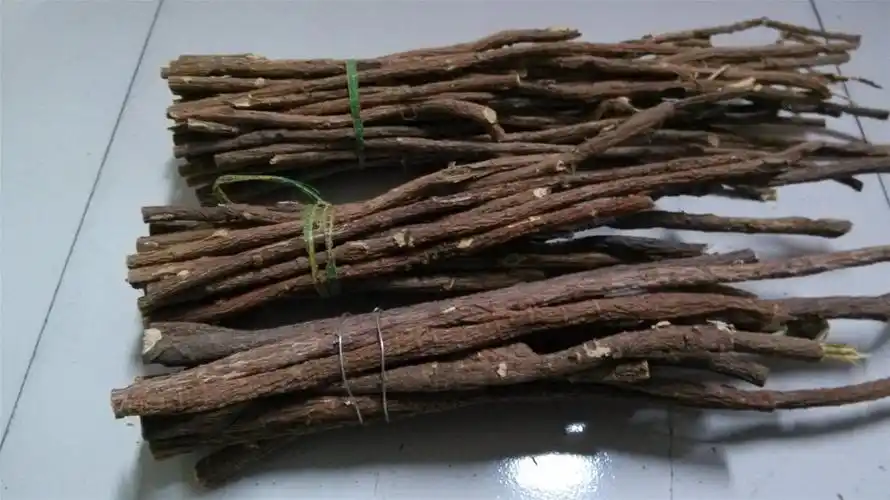 甘草 条草 产地 甘肃省张掖市市辖区