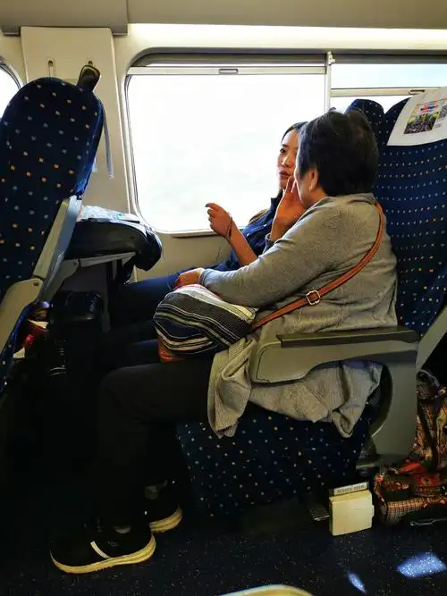 动车,老妈在车上跟邻坐的美女交谈盛欢,老妈是走到哪里都不会寂寞的人