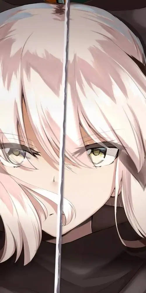 手机壁纸saber手机壁纸超清竖屏