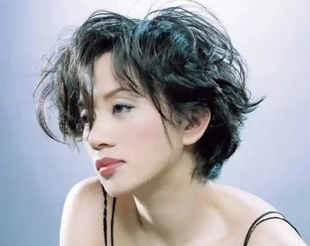 梅艳芳anitamui爱上这个舞台皇后