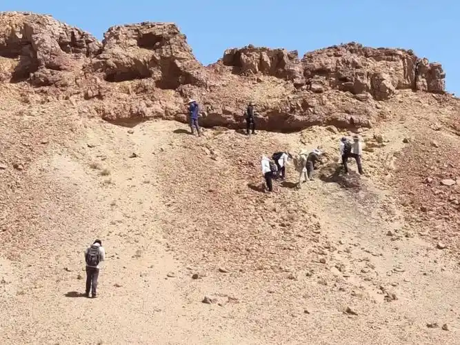 验证,发现超大规模离子吸附型中重稀土矿;在西藏陆相火山岩区首次发