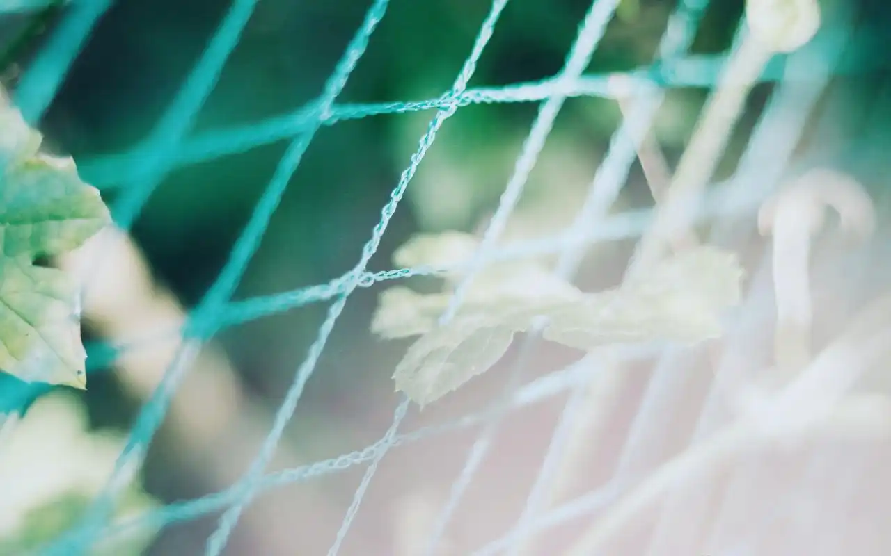 小清新护眼高清电脑桌面壁纸图片