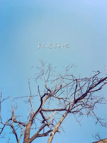 枯枝漫天,就这样吧.弍豆自制壁纸【家乡的颜色】