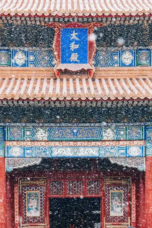 凛冬有雪还想赴一场故宫的雪景