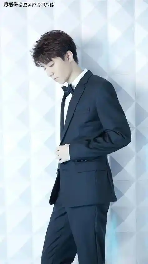 《天坑鹰猎》《上古密约》《我和我的家乡》《冷血狂宴》《叱咤风云》