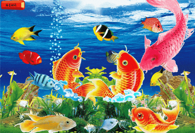 明天就是除夕了 这份除夕的问候 走过了山山水水 经历了风风雨雨 到