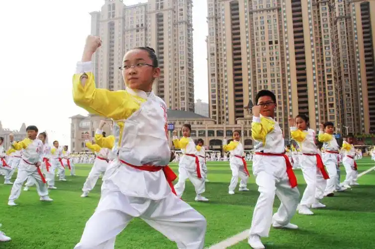 白塔岭小学武术操《天行健》