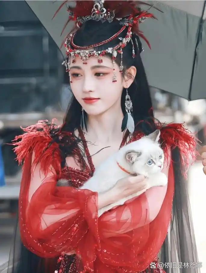 因为她是鞠婧祎 所以我爱她7815 #鞠婧祎# #鞠婧祎花戎