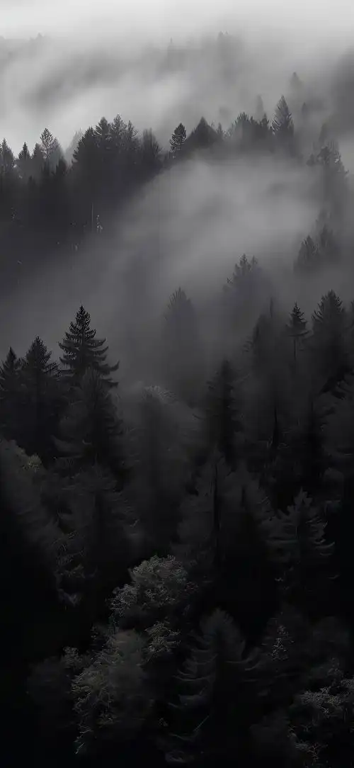 黑色壁纸    #高考放飞计划##今日快乐今日发