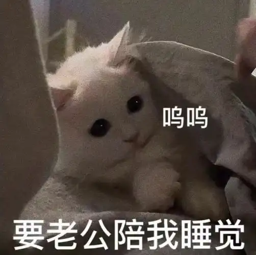 情侣互撩表情包先生那句爱我怕是不作数