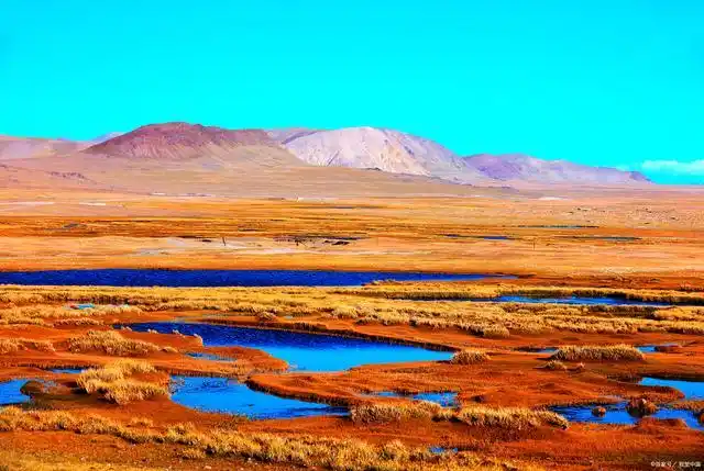 羌塘无人区海拔多少米?