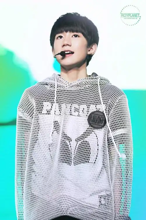 王源2015qq音乐年度盛典