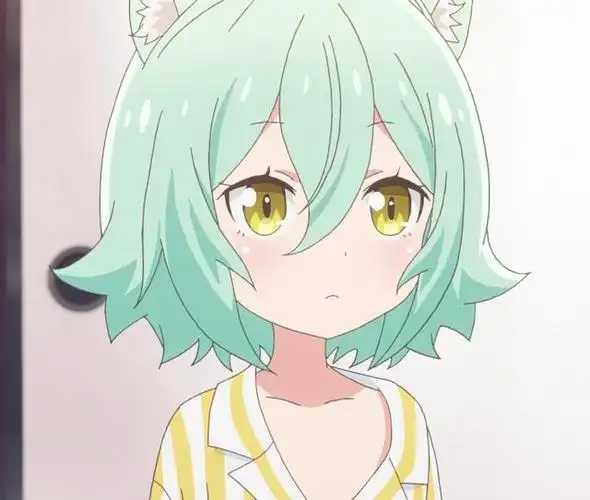 原创你喜欢的猫才是好猫2020年猫娘领养指南