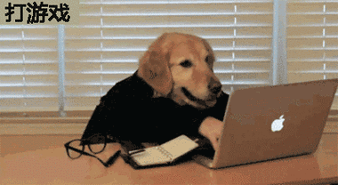 二哈gif打游戏gif搞笑gif娱乐gif