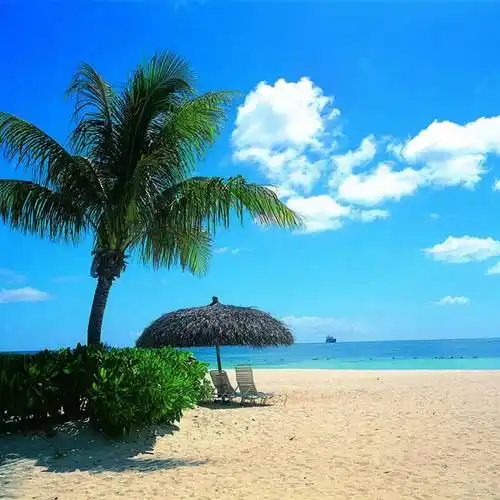 阳光海岸沙滩南国风297头像