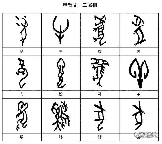 甲骨文中的12生肖属相,甲骨文中的十二生肖怎么写