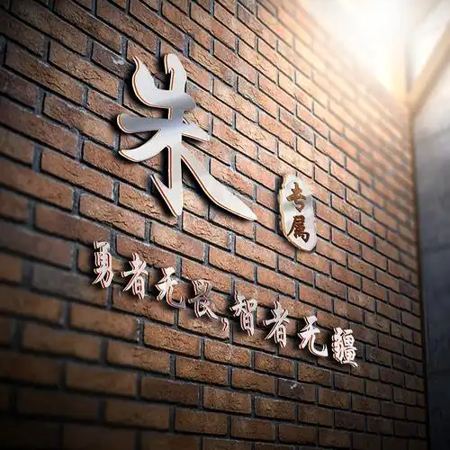 编号1511,商务头像,3d立体,墙体名片,20个姓氏-微信头像,百家姓氏微信