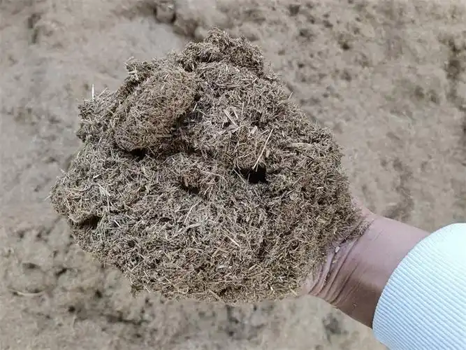 甘蔗尾干草料 饲养牛羊干草料甘蔗尾 秋名山农业批发