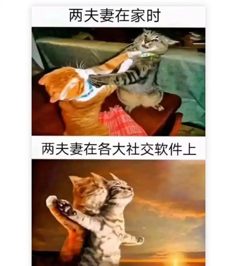 搞笑趣图:两夫妻的真实生活是什么样的#幽默# #搞笑# #趣图搞笑