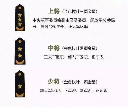 微课堂 | 肩章背后隐藏了怎样的秘密_军衔