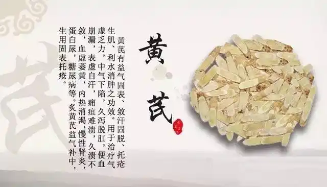 黄芪泡水的禁忌与功效(黄芪的功效与作用禁忌)  2