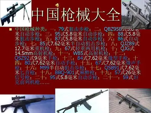 中国枪械大全ppt