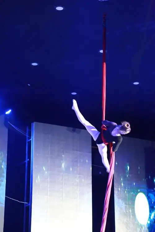 钢管舞与空中飞人