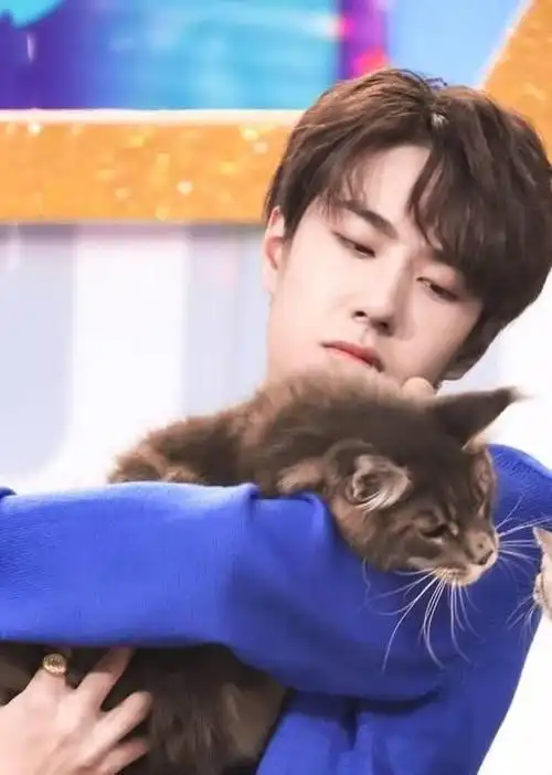 我是王一博的猫让本喵来介绍一博哥哥休息日的一天行程吧