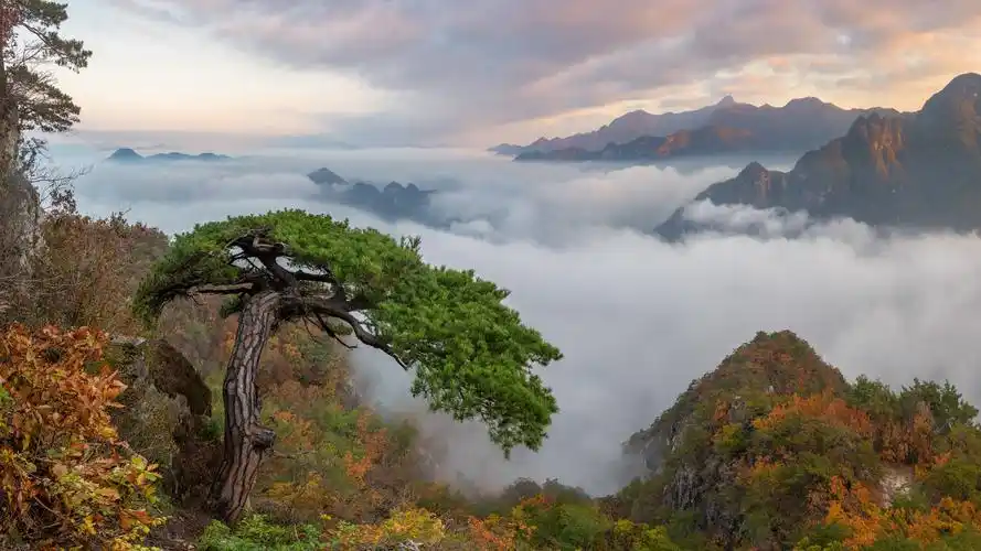 有木有酷酷的 简洁的小壁纸最好是4k高清 无水印 电脑手机的我都要?